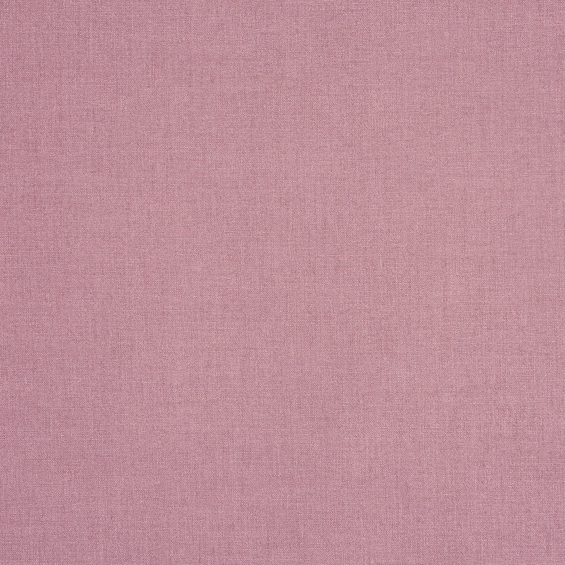 Prestigious Textiles Saxon Fabric Petunia