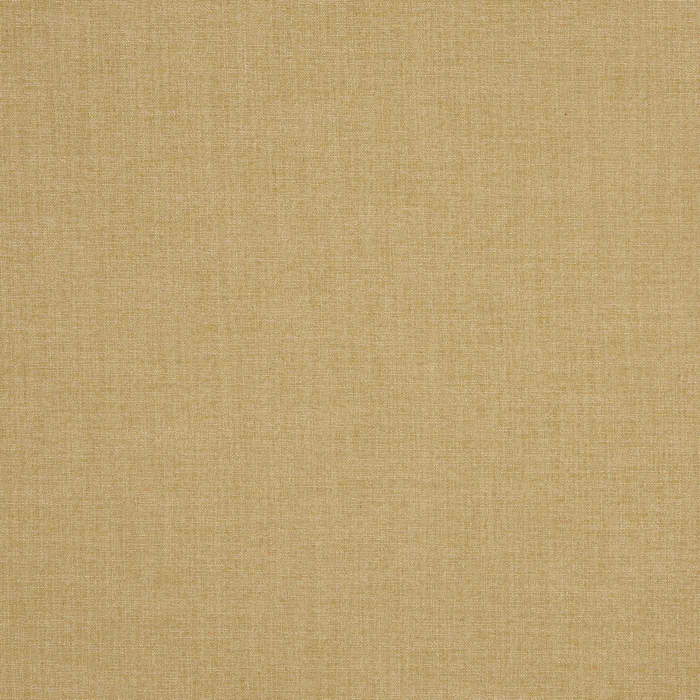 Prestigious Textiles Saxon Fabric Barley