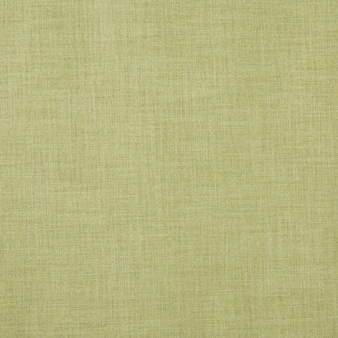 Prestigious Textiles Saxon Fabric Kiwi