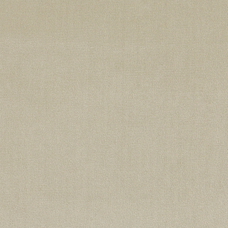 Prestigious Textiles Velour Fabric Ivory