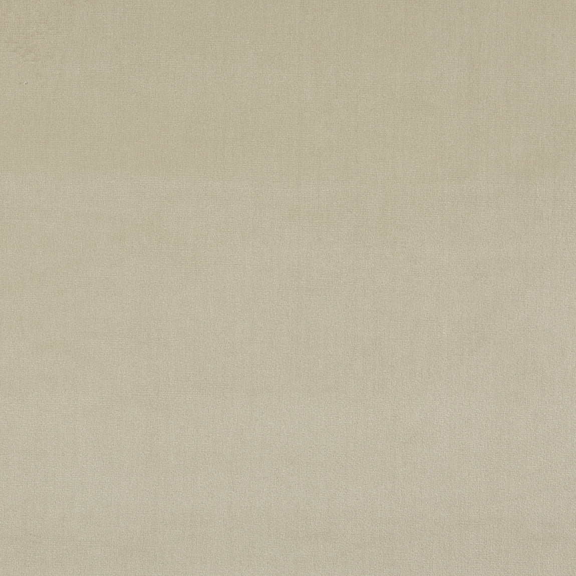 Prestigious Textiles Velour Fabric Ivory