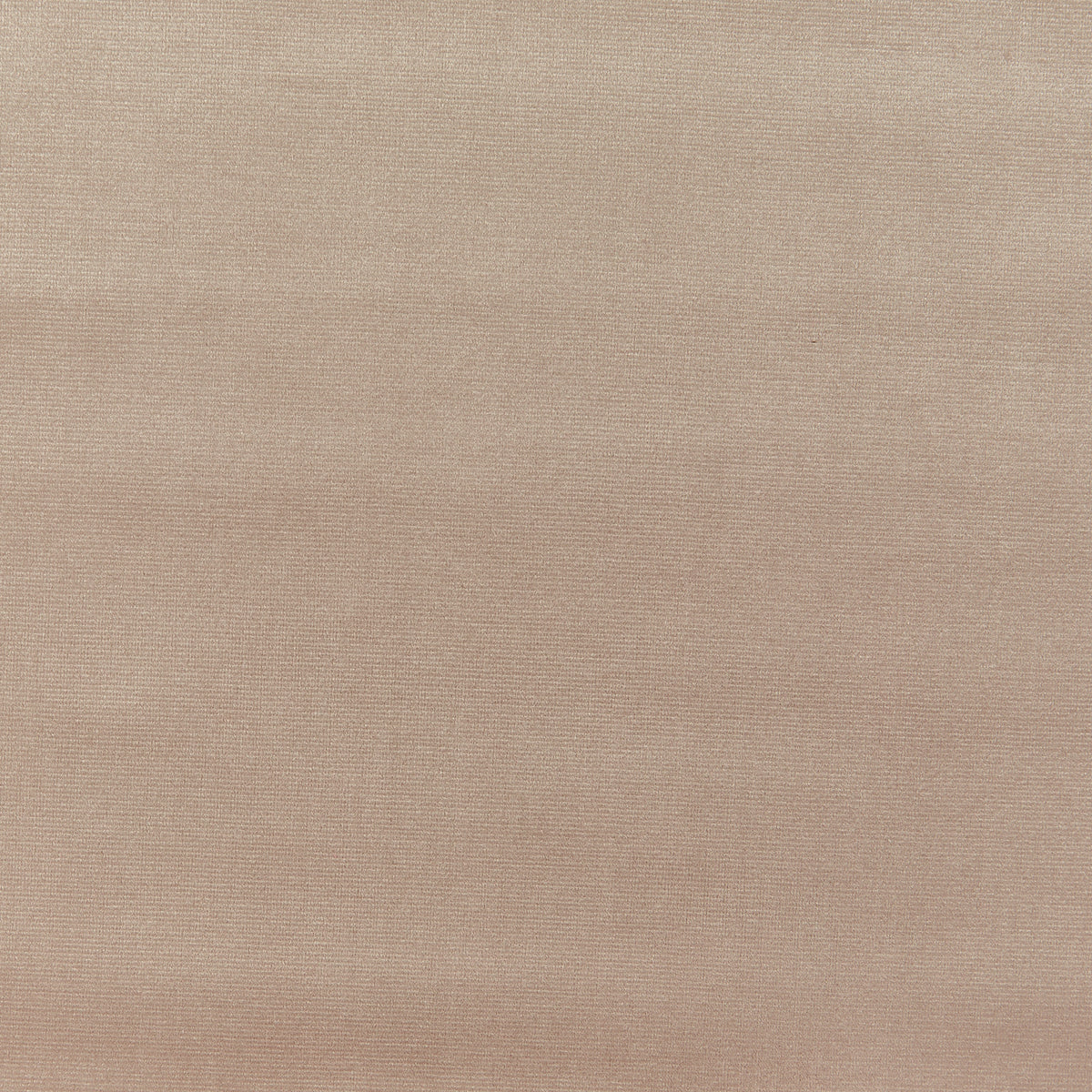 Prestigious Textiles Velour Fabric Latte