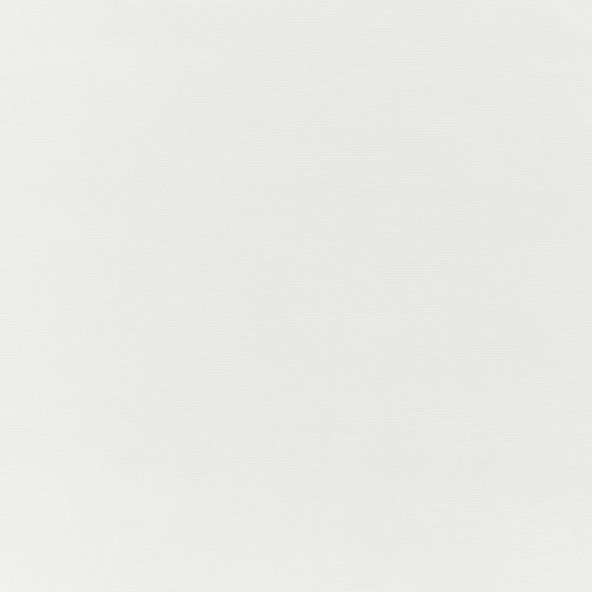 Prestigious Textiles Velour Fabric Snow