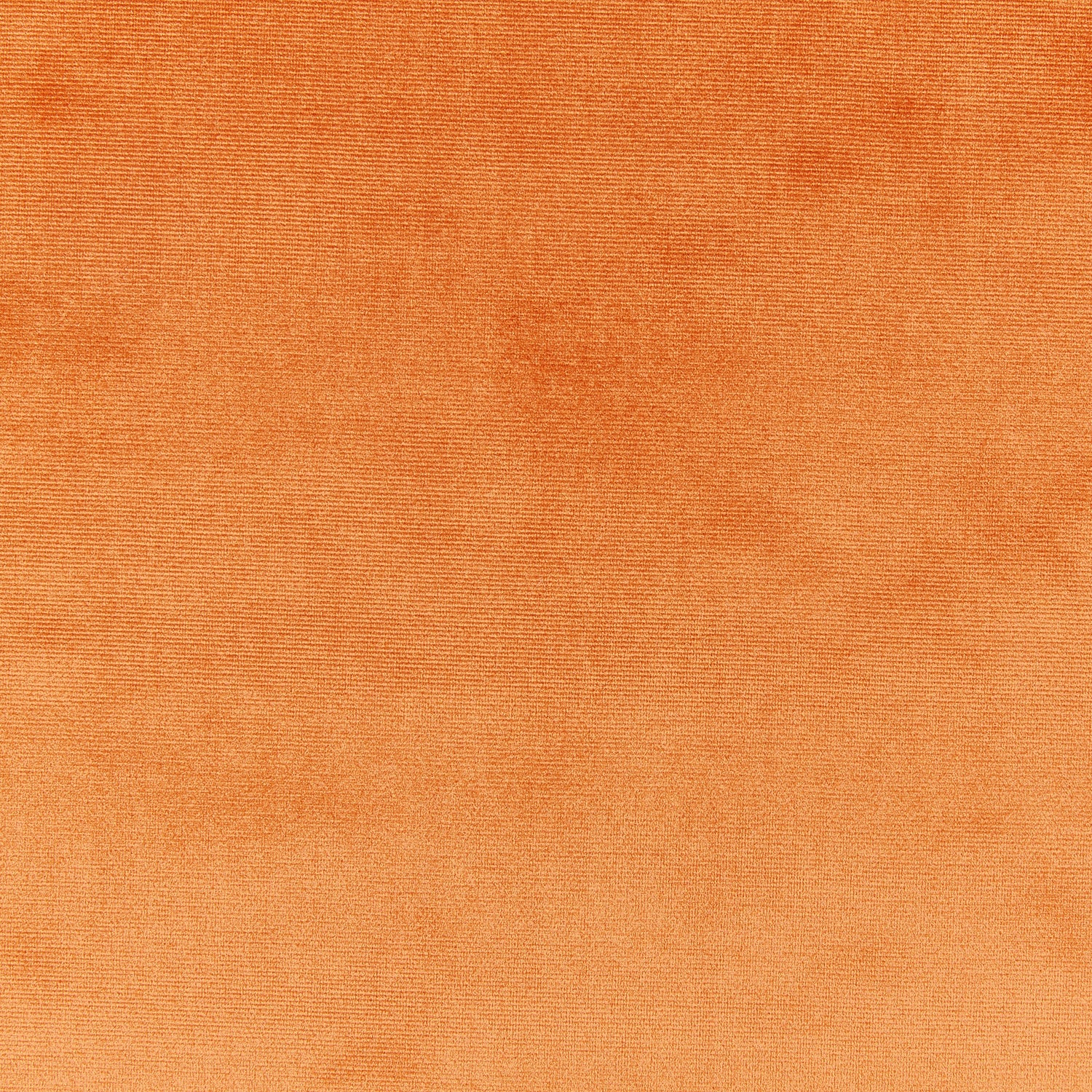 Prestigious Textiles Velour Fabric Tan