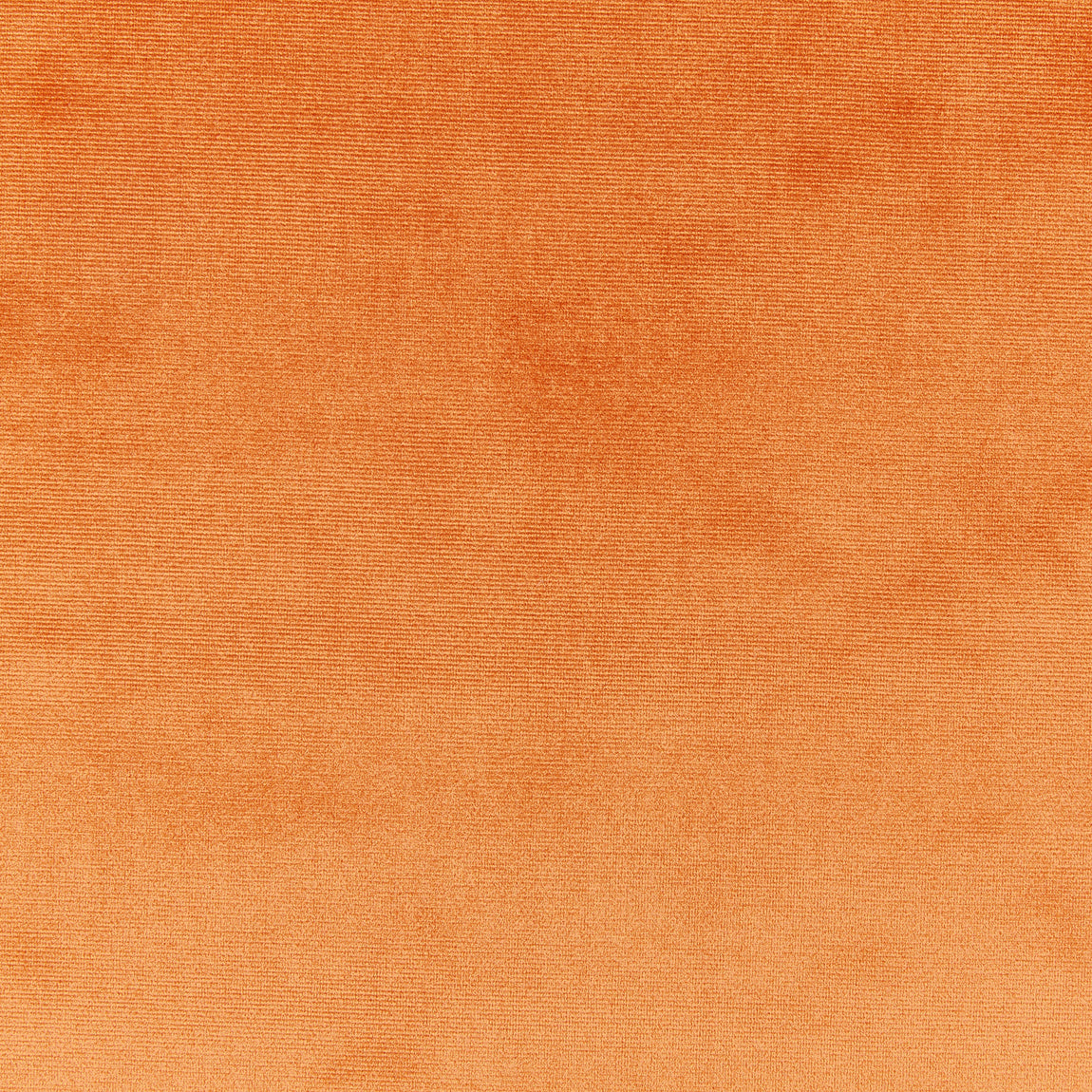 Prestigious Textiles Velour Fabric Tan
