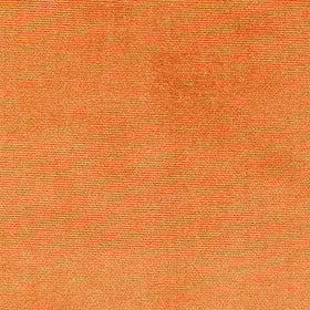 Prestigious Textiles Velour Fabric Tan