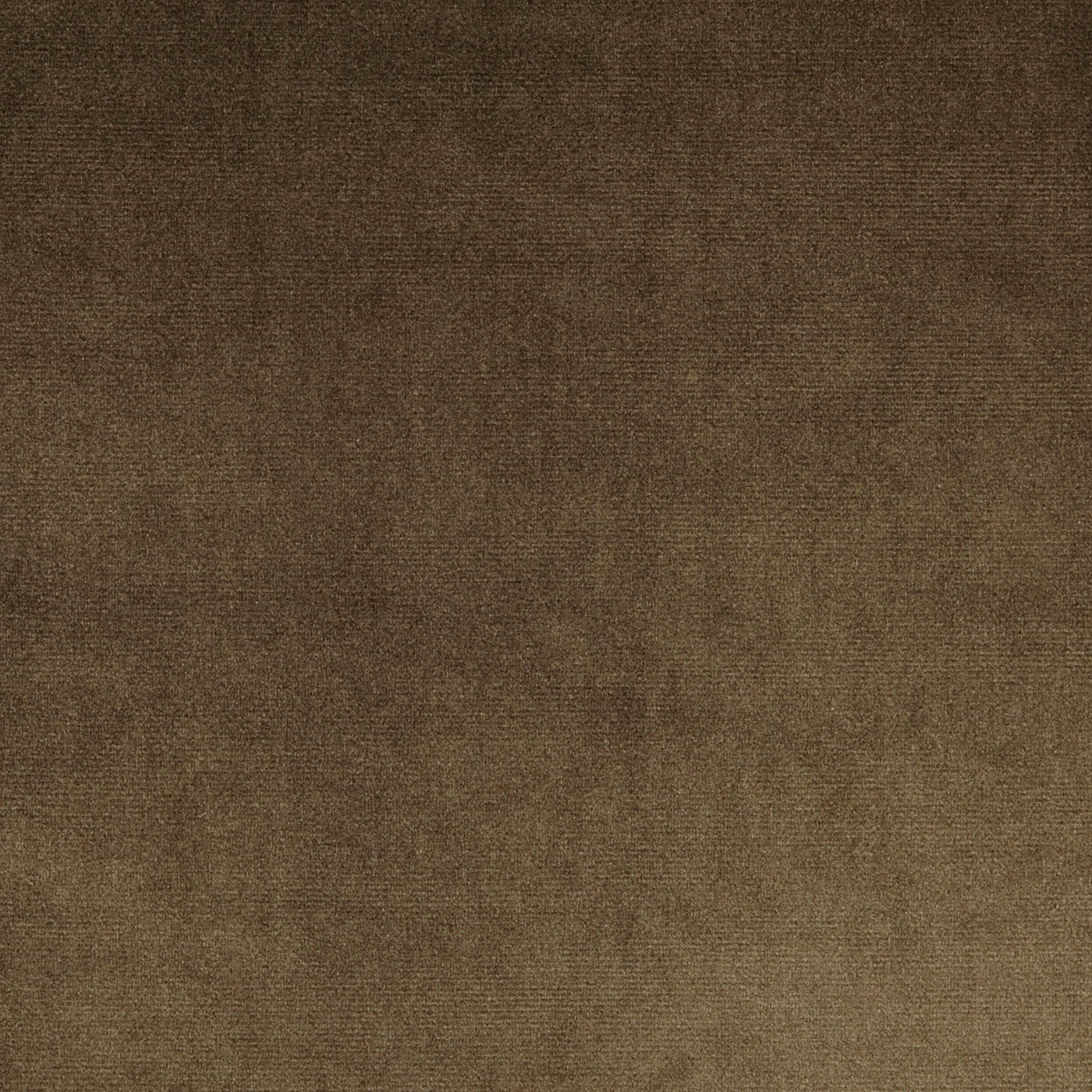 Prestigious Textiles Velour Fabric Walnut