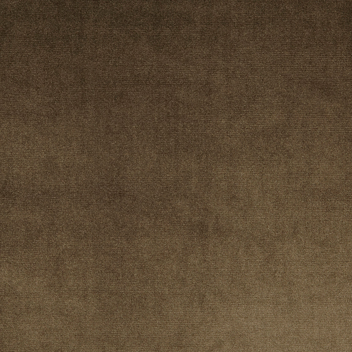 Prestigious Textiles Velour Fabric Walnut