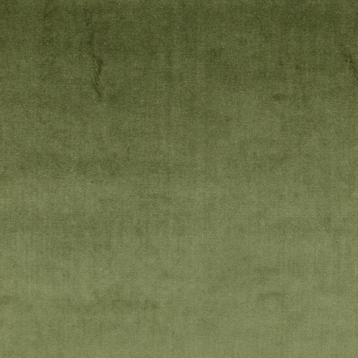 Prestigious Textiles Velour Fabric Hunter