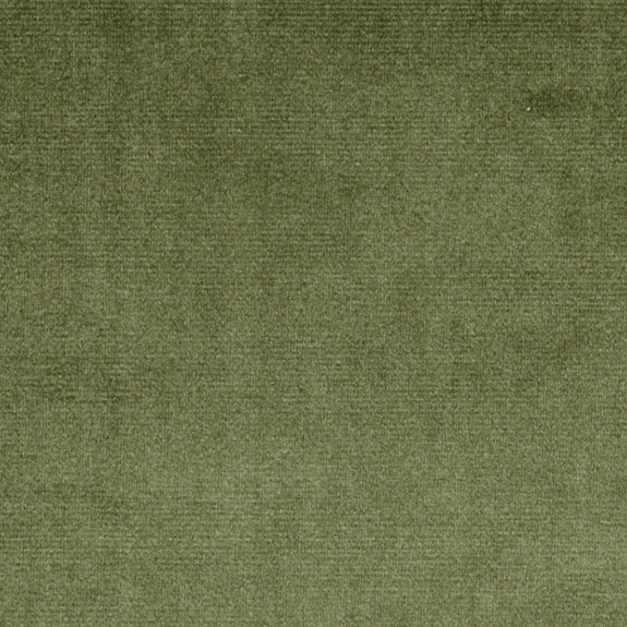 Prestigious Textiles Velour Fabric Hunter