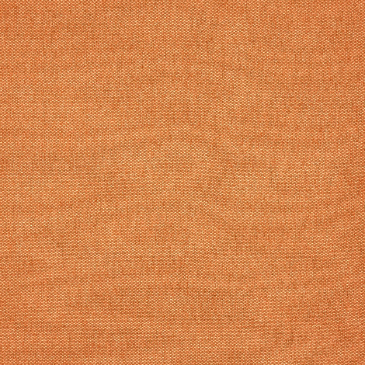 Prestigious Textiles Buxton Fabric Ginger