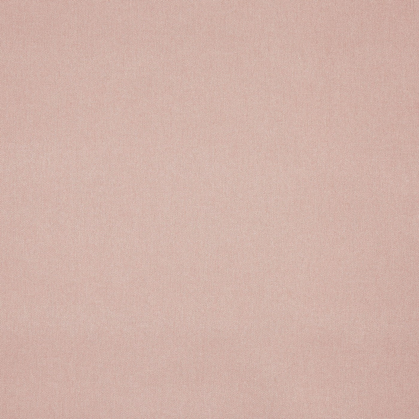 Prestigious Textiles Buxton Fabric Blush