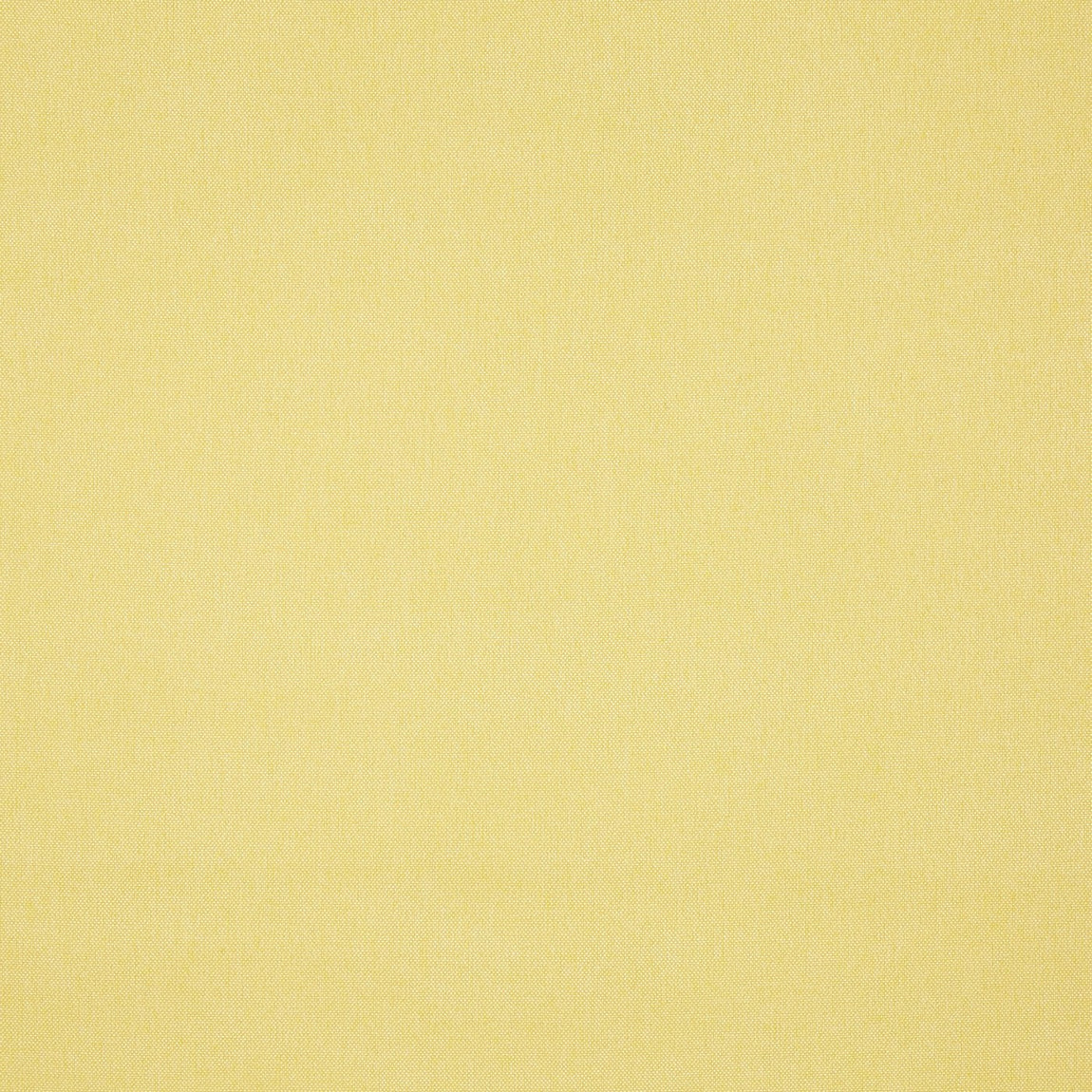 Prestigious Textiles Buxton Fabric Lemon