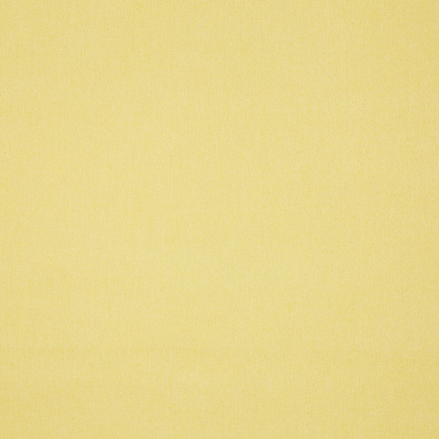 Prestigious Textiles Buxton Fabric Lemon