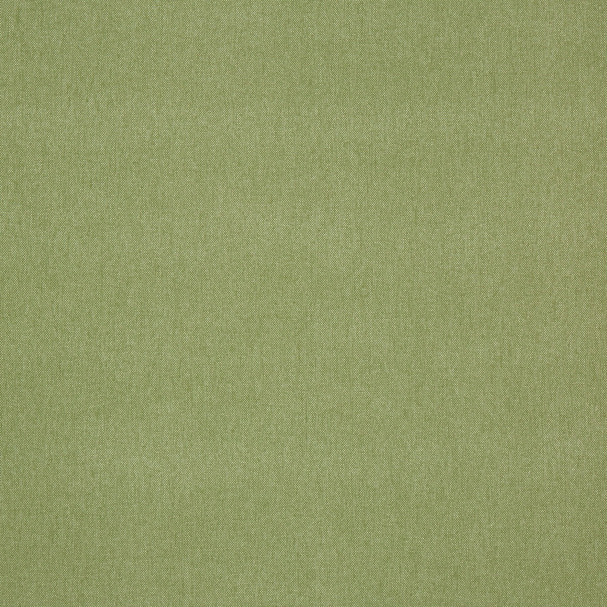 Prestigious Textiles Buxton Fabric Apple
