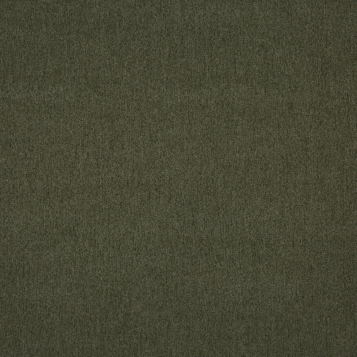 Prestigious Textiles Buxton Fabric Forest