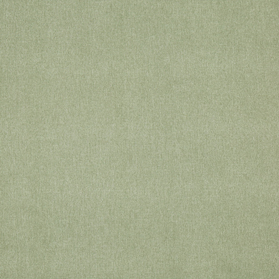 Prestigious Textiles Buxton Fabric Basil
