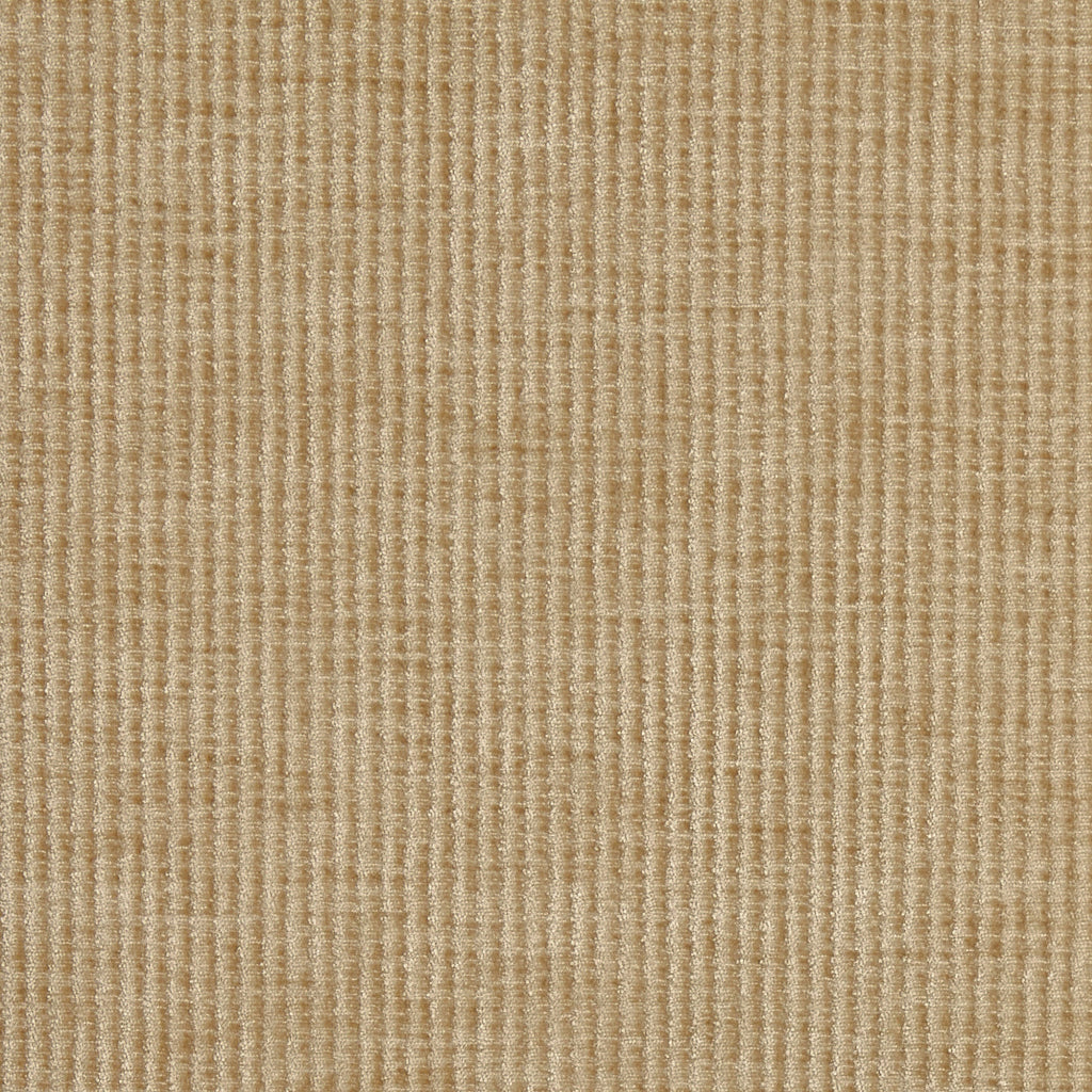 Prestigious Textiles Cord Chenille Fabric Pampas