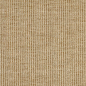 Prestigious Textiles Cord Chenille Fabric Pampas