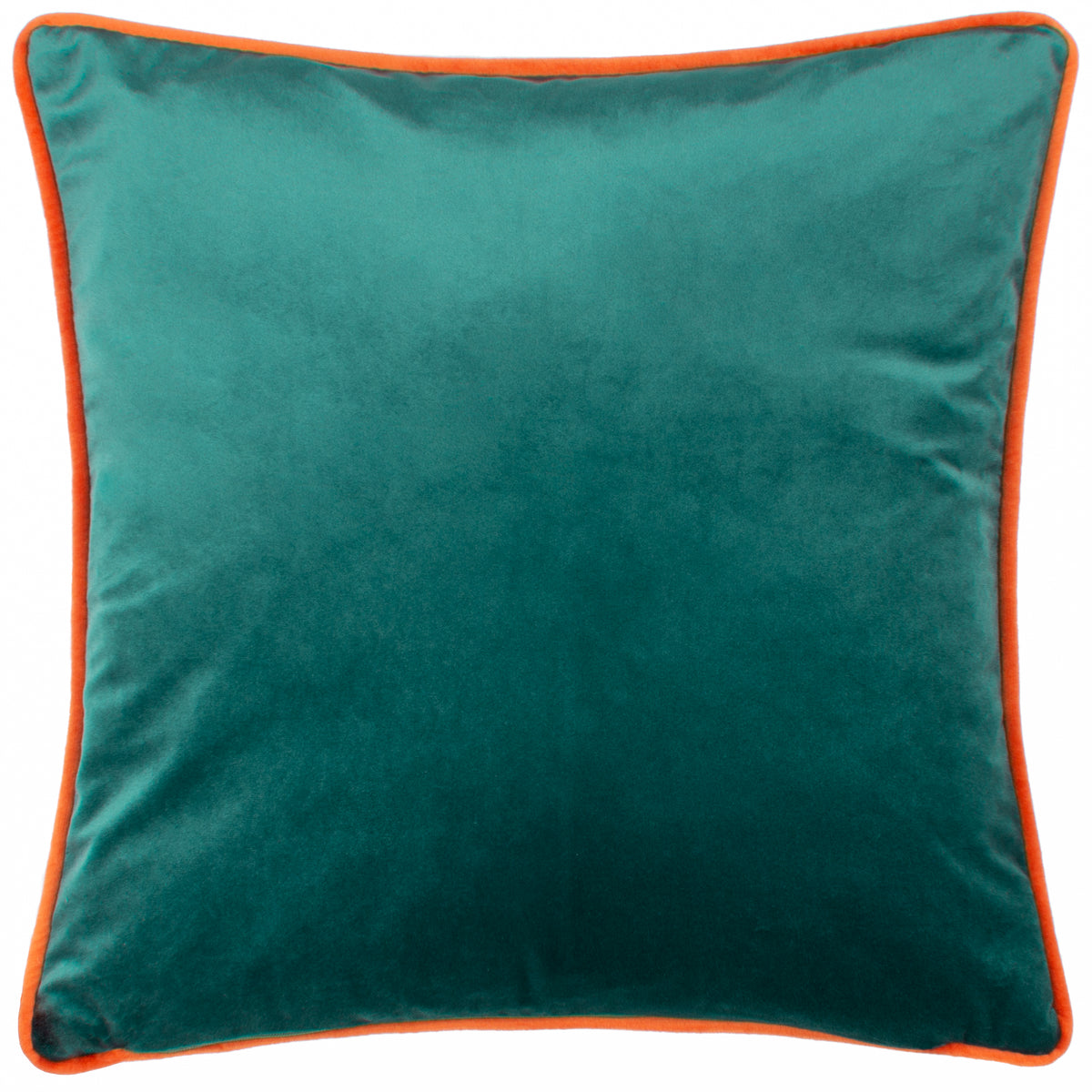 Kate Merritt Lion Illustrated Filled Cushion 43cm x 43cm Multi