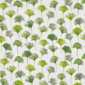 Prestigious Textiles Camarillo Fabric Cactus