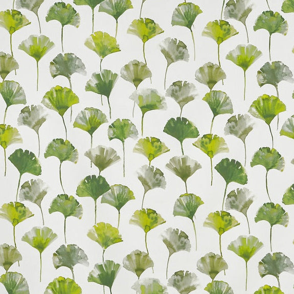 Prestigious Textiles Camarillo Fabric Cactus