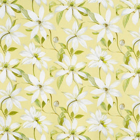 Prestigious Textiles Olivia Fabric Primrose