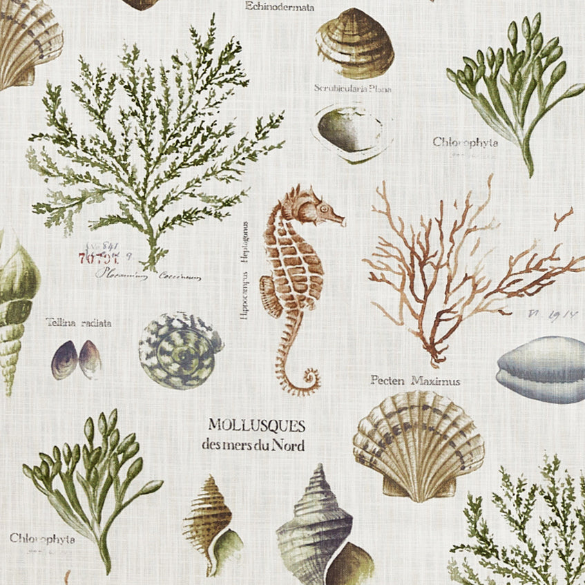 Prestigious Textiles St Helier Printed Fabric Sea Weed