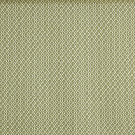 Prestigious Textiles Billy Fabric Cucumber