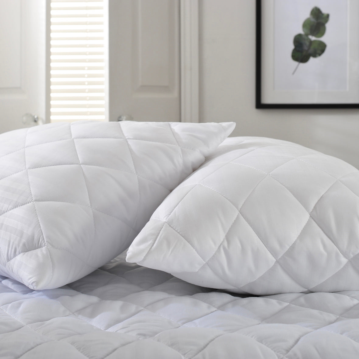 Anti Allergy Pillow Protector White Free Delivery Options Terrys