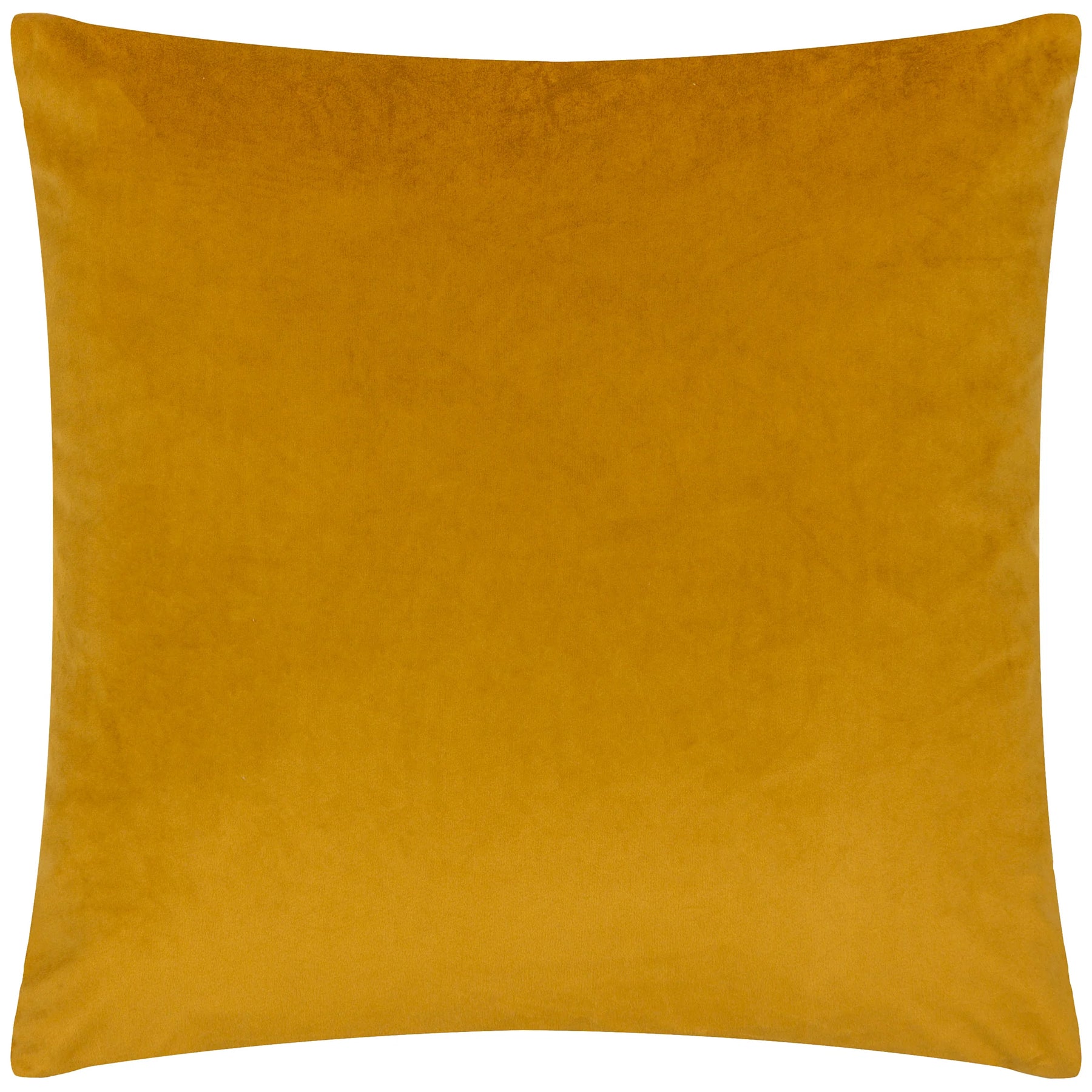 Bardot Cut Velvet Filled Cushion 50cm x 50cm Gold Blue