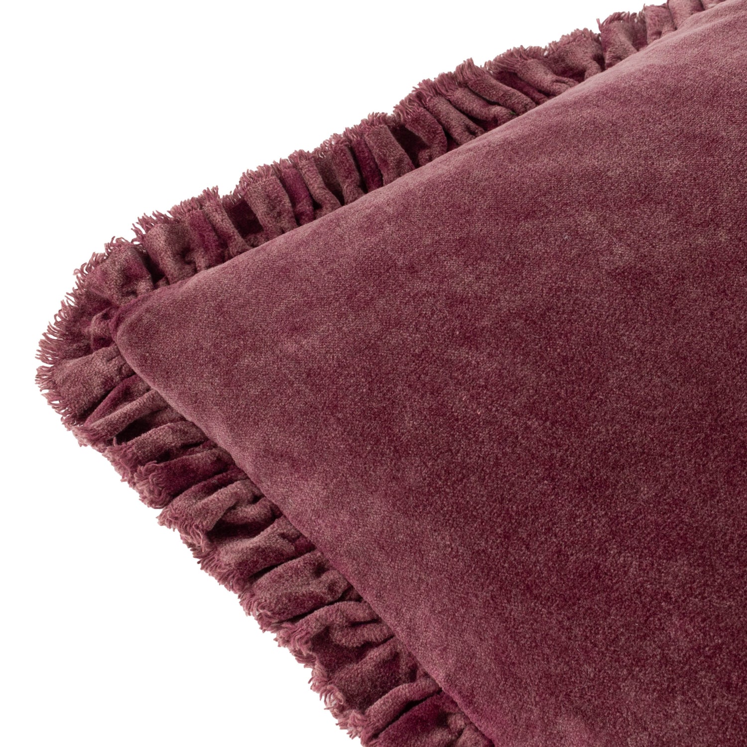 Bertie Cotton Velvet Filled Cushion 45cm x 45cm Burnt Red