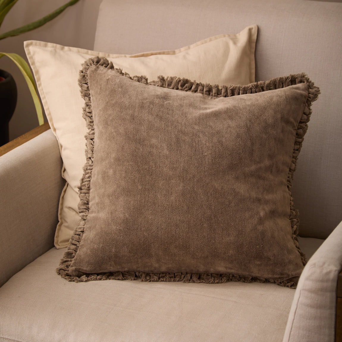 Yard Bertie Cotton Velvet 45cm x 45cm Filled Cushion Chocolate