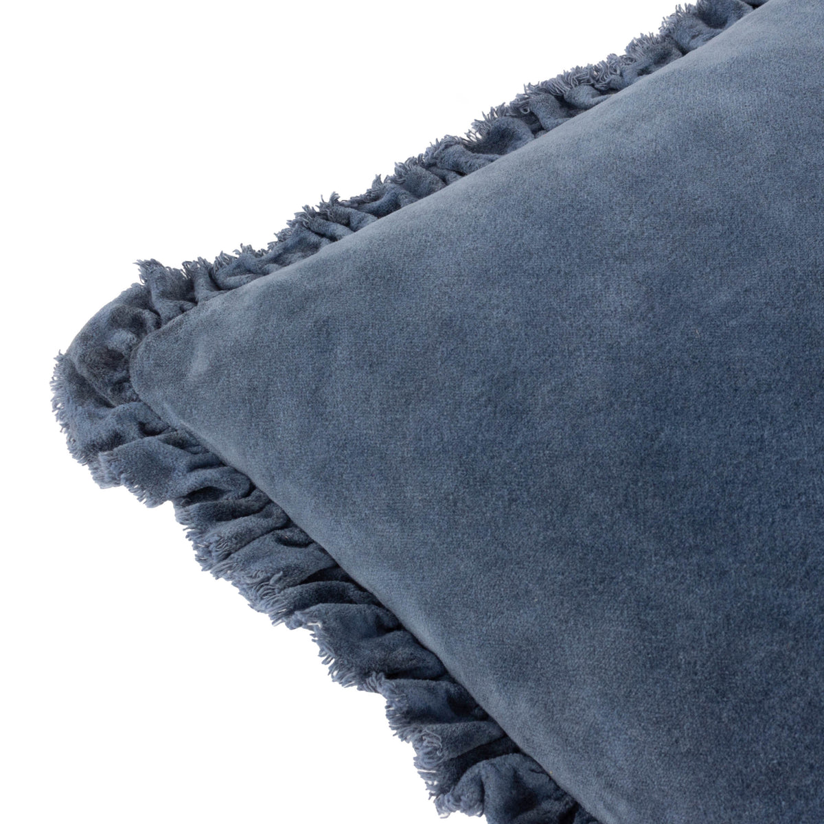 Bertie Cotton Velvet Filled Cushion 45cm x 45cm Ink