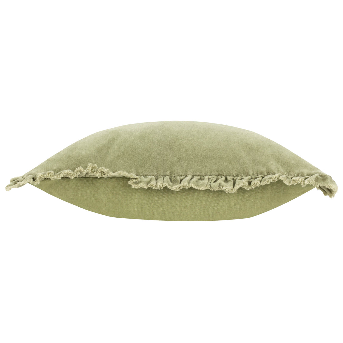 Bertie Cotton Velvet Filled Cushion 45cm x 45cm Sage