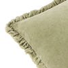 Bertie Cotton Velvet Filled Cushion 45cm x 45cm Sage