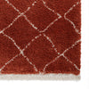 Boho 5413 Shaggy Rug Rust