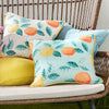 Dreams & Drapes Botanical Fruits Outdoor Filled Cushion 43cm x 43cm Green