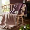 Laura Ashley Bronwen 130cm x 170cm Throw Blackberry Purple