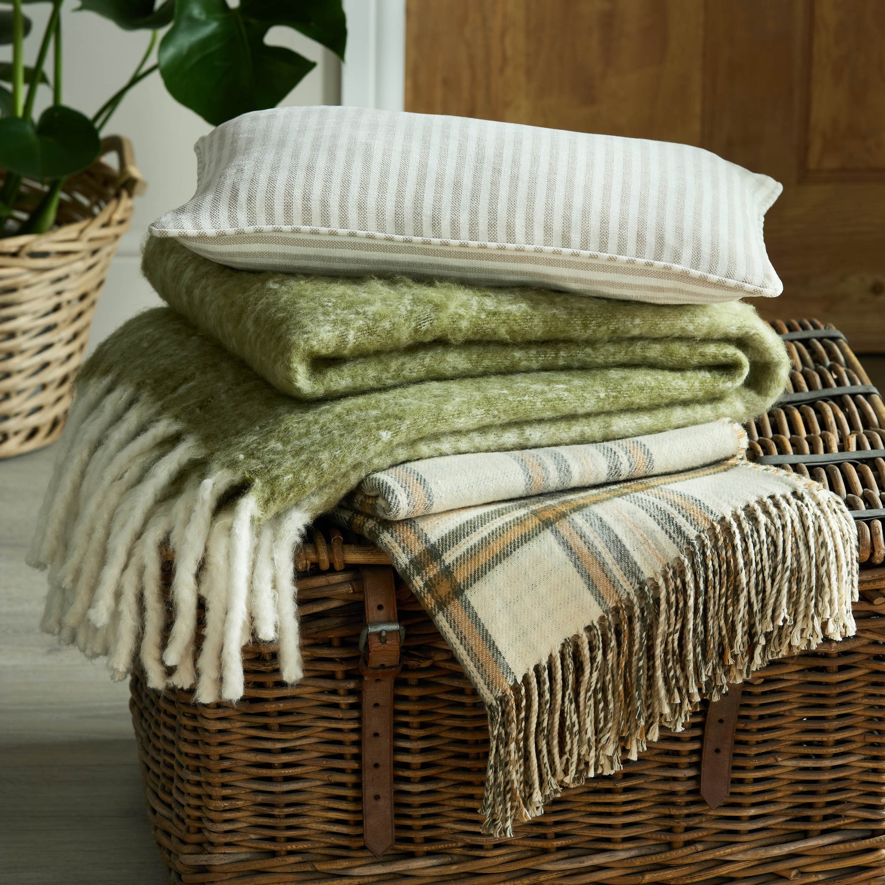 Laura Ashley Bronwen 130cm x 170cm Throw Olive Green