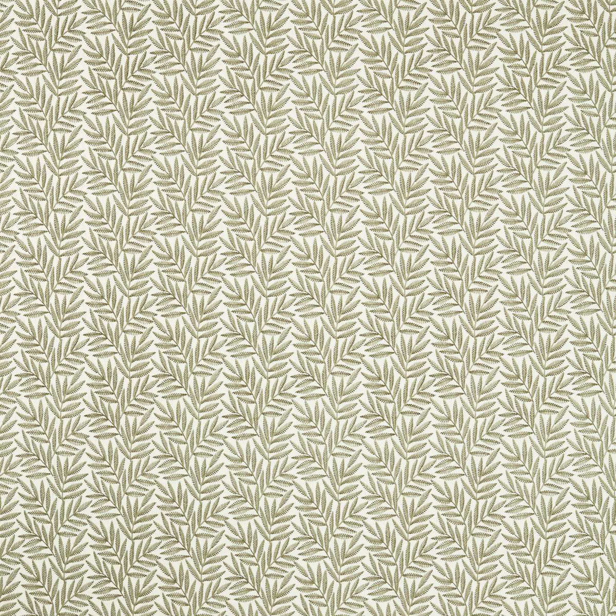 Clarke & Clarke Virgata Embroidered Fabric Fern