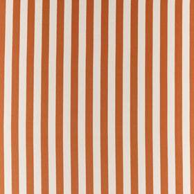 Clarke & Clarke Portland Fabric Spice
