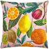 Citrus Twin Pack Outdoor Filled Cushion 43cm x 43cm Multi