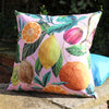 Citrus Twin Pack Outdoor Filled Cushion 43cm x 43cm Multi