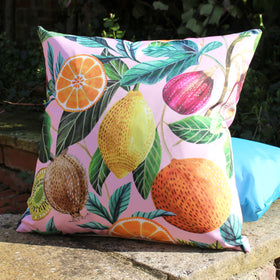 Citrus Twin Pack Outdoor Filled Cushion 43cm x 43cm Multi