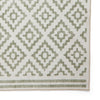 Coral H1058 Digitally Printed Rug Green