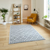 Coral H1058 Digitally Printed Rug Grey