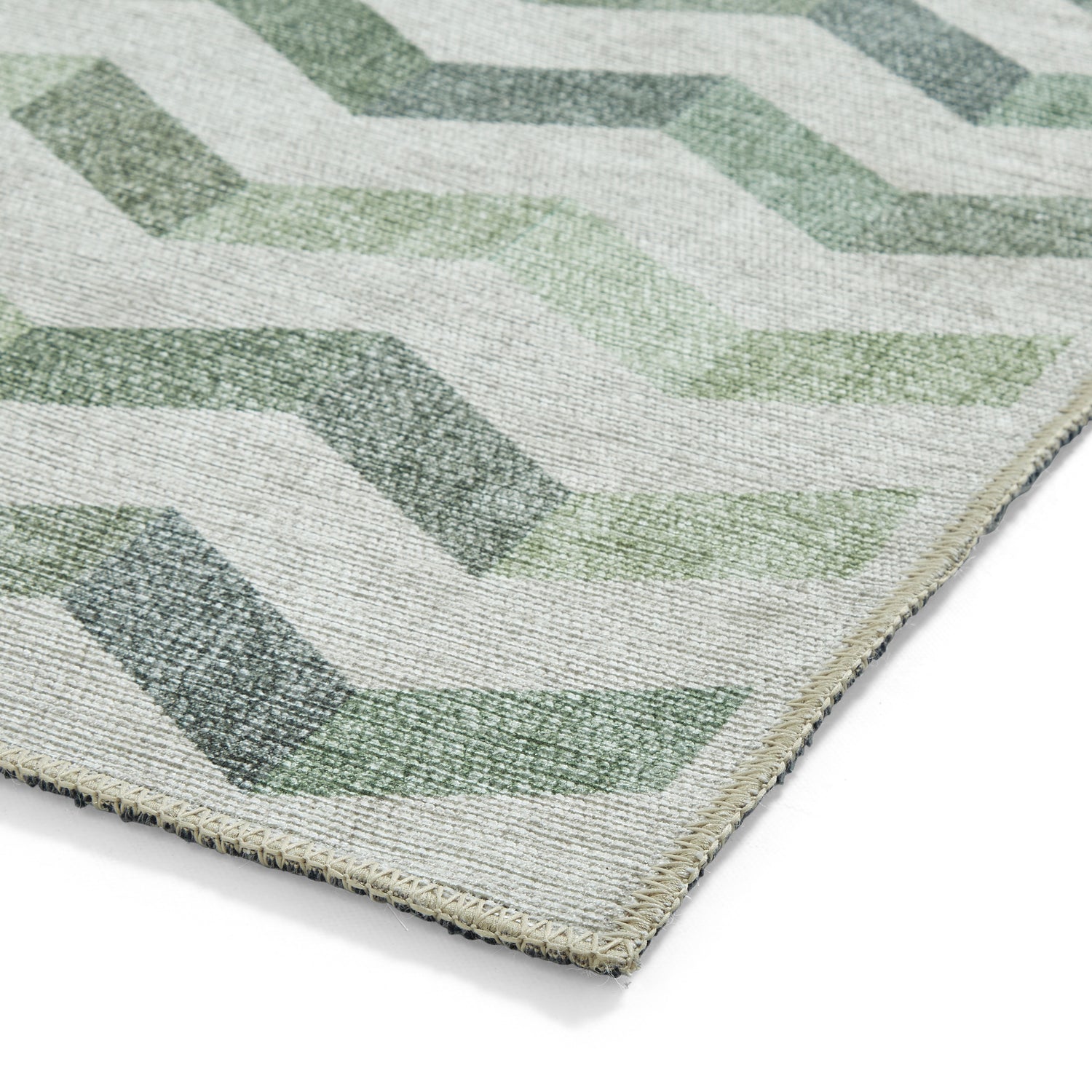 Coral H1059 Digitally Printed Rug Green