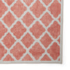 Coral H1063 Digitally Printed Rug Orange