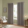 Furn Ultimate Velvet Ready Made Eyelet Blackout Curtains Silver